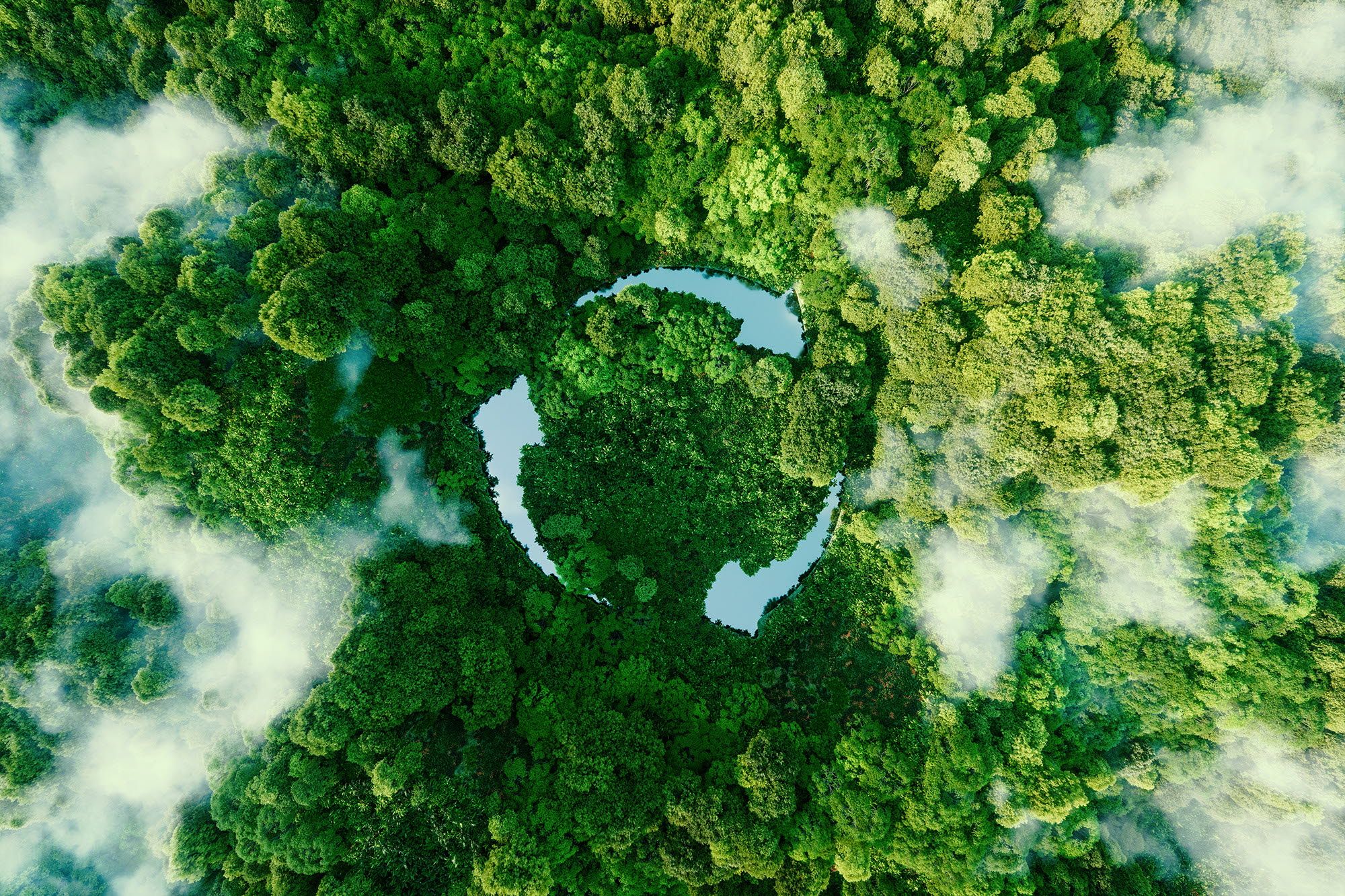 Green trees and recycling symbol